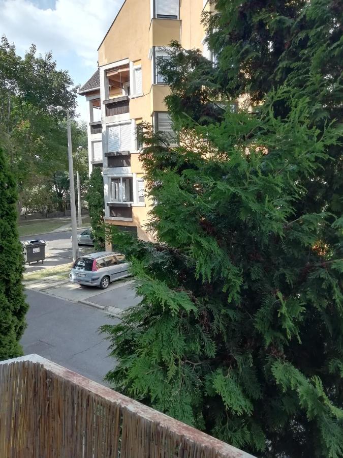 Rokus Apartman Apartment Сегед Екстериор снимка